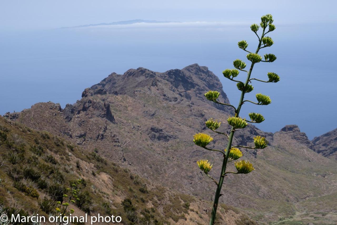 Tenerife Lizards - Duplex In The First Line กาเยาซัลวาเค ภายนอก รูปภาพ