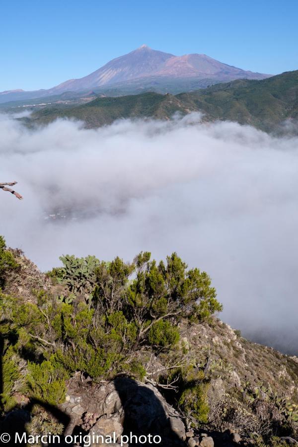 Tenerife Lizards - Duplex In The First Line กาเยาซัลวาเค ภายนอก รูปภาพ