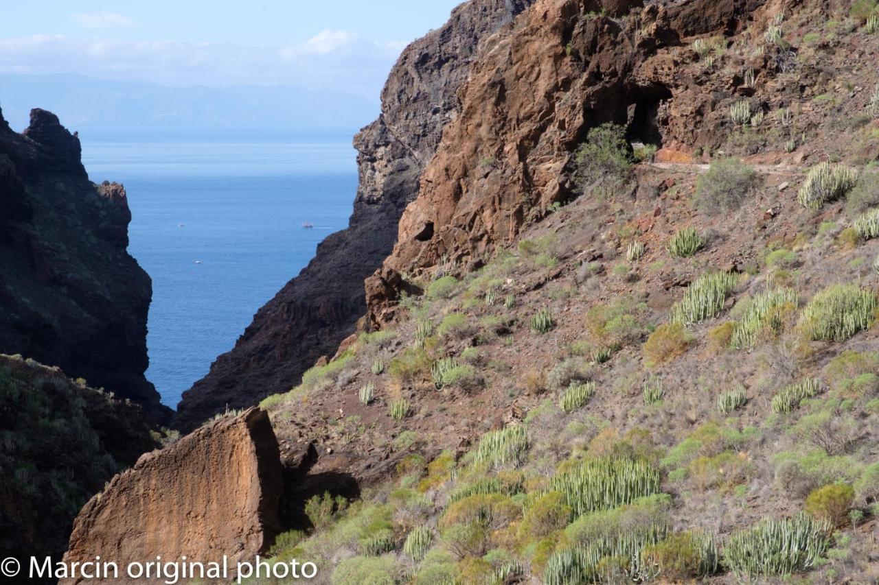 Tenerife Lizards - Duplex In The First Line กาเยาซัลวาเค ภายนอก รูปภาพ