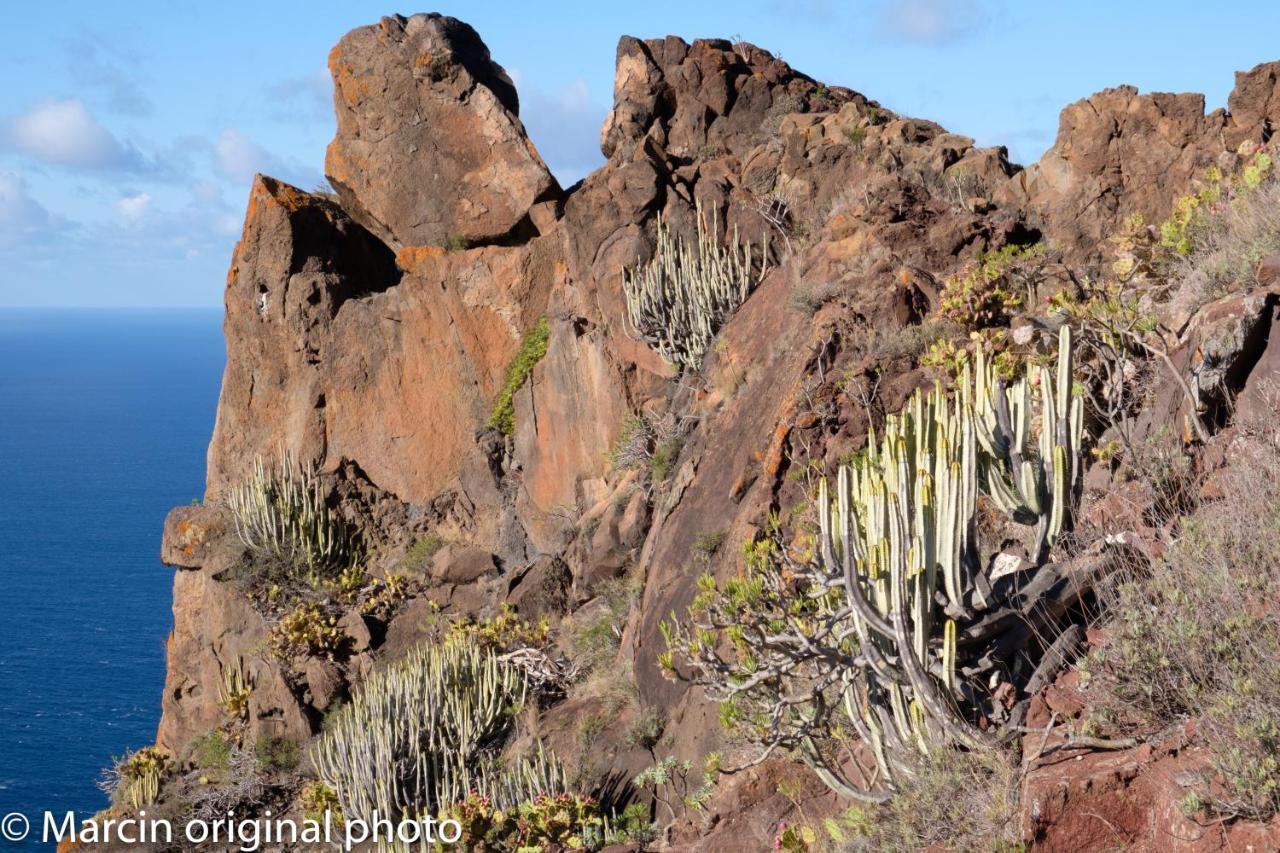 Tenerife Lizards - Duplex In The First Line กาเยาซัลวาเค ภายนอก รูปภาพ
